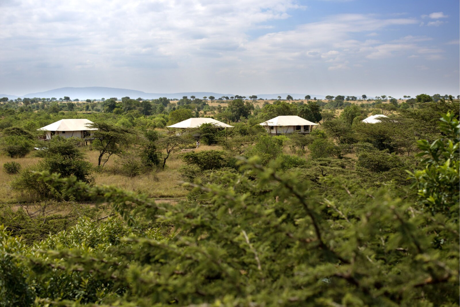 Neptune Mara Rianta Luxury Camp – Mara North Conservancy · Kenia